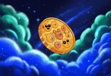 Digital Tulips or a monetary future? Decode of the meme coin revolution