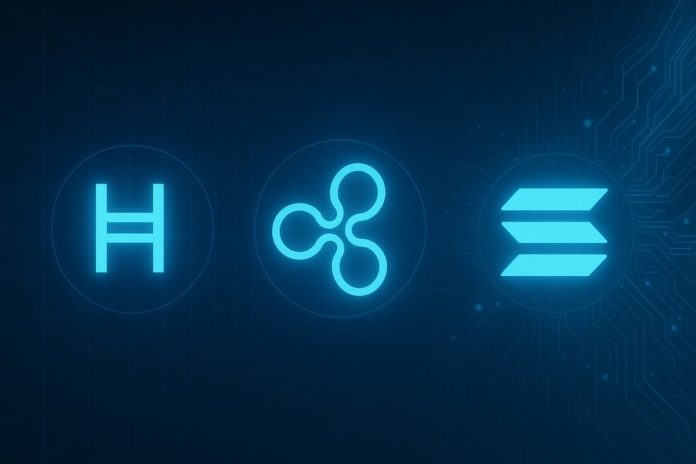 xrp-hedera-solana.jpg