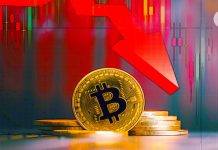 Bitcoin points main bearish sign as whale exercise reaches 2025 excessive