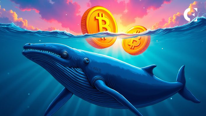 Bitcoin-Price-Analysis-86M-Whale-Buy-Meets-2.75B-Blackrock-Sell-off-Today.jpg