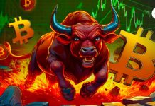 The Bitcoin bull market is at a significant crossroads because the whale unloads. What’s subsequent?