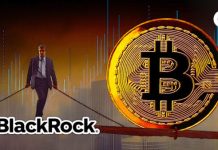 BlackRock IBIT information $523 million in outflows in November as outflows attain almost $3 billion