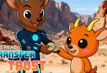 Will SHIB attain $1? Please cease ready. Noomez ($NNZ) presale has a built-in value ladder