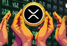 Ripple converts actual cash to XRP utilizing Prime for buying and selling and Palisade for storage