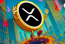 XRP falls 11% as many ETFs put together for launch week from November 18th to twenty fifth