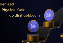 Kingyo Gold launches modern gold-backed stablecoin