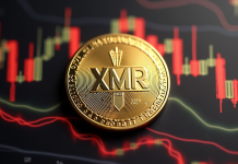 Privateness cash lead market shock rally as Monero (XMR) rises to 5-month excessive