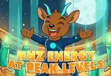 Easy methods to Consider the Finest Crypto Presale Tokens: A Tokenomics and Roadmap Information (Utilizing the $NNZ Token)