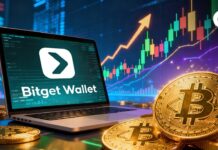 Crypto wallets go mainstream: Fee, financial savings, and earnings use instances on Bitget wallets develop sooner than buying and selling
