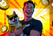 No Elon right here: Japan’s DOGE chooses forms over chaos