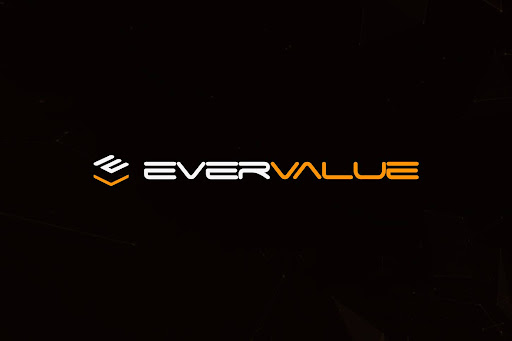 EverValue-Coin-EVA-consolidates-an-economic-model-with-growing-Bitcoin-backing.jpg