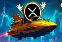 XRP make-or-break second: Assist on maintain as sellers flood